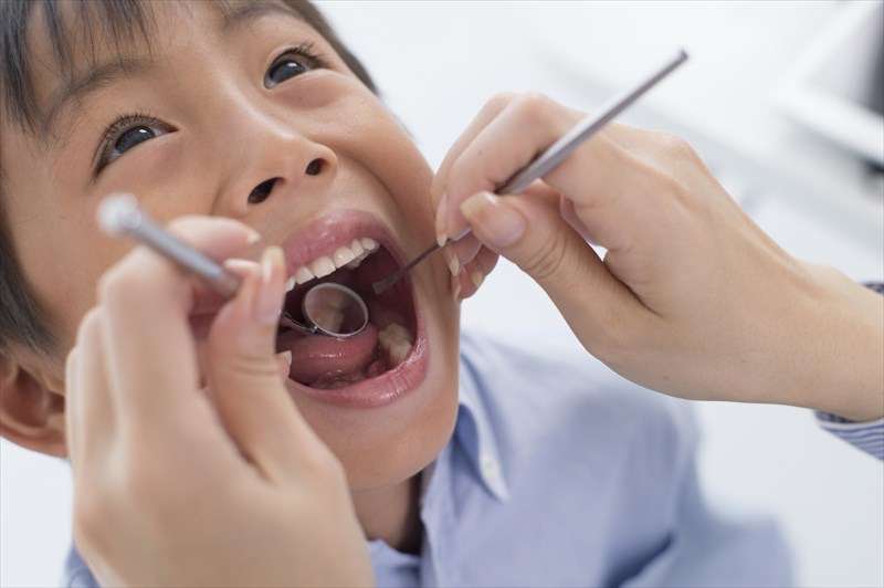 歯科医院スタッフの温かな対応で成城以外の地域からもご相談多数